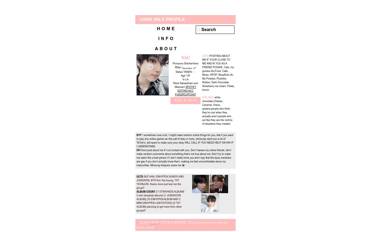 🌷ALL ABOUT THIS USER☁️